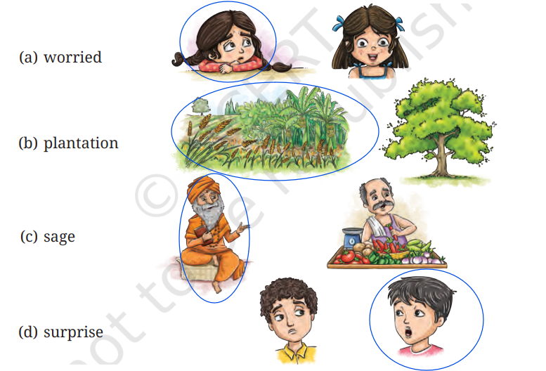 Textbook (Ncert) Solutions of A bottle of Dew