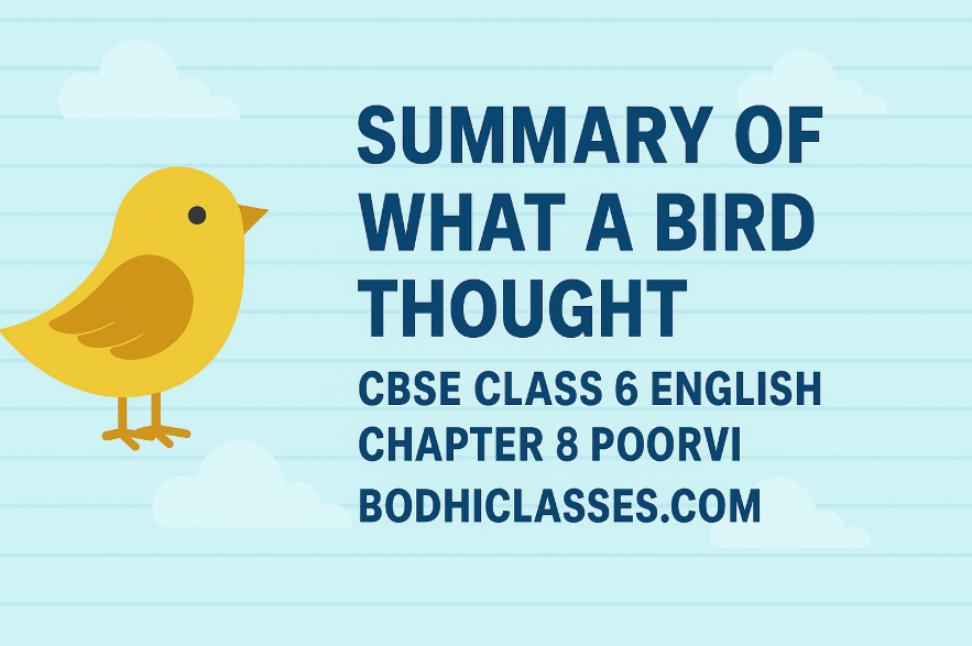 Summary of What a Bird Thought | CBSE Class 6 English